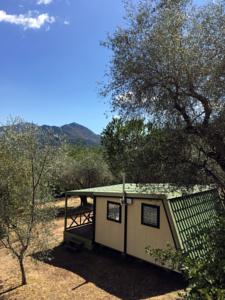 Hebergement Camping Domaine Sainte Madeleine : photos des chambres