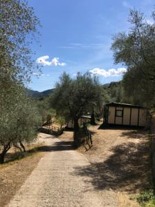 Hebergement Camping Domaine Sainte Madeleine : photos des chambres