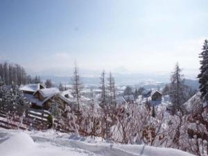 Appartement Apartment Les chalets du tourond : photos des chambres