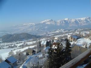 Appartement Apartment Chardons bleus : photos des chambres