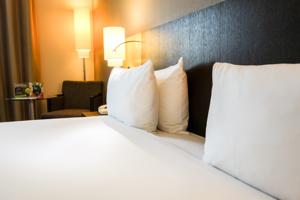 Hotel Holiday Inn Paris CDG Airport : photos des chambres