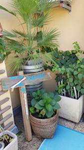 Appartement Ribeil : photos des chambres