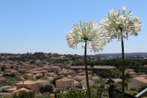 Hebergement Belle villa en Provence : photos des chambres