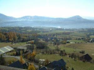 Appartement Apartment Chardons bleus : photos des chambres