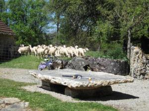 Hebergement House Corn - 6 pers, 84 m2, 4/3 1 : photos des chambres