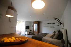 Chambres d'hotes/B&B Bastide Vieux Chene : photos des chambres