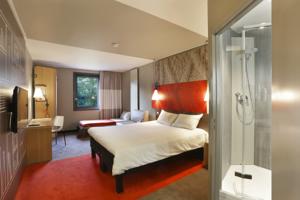Hotel ibis Le Mans Est Pontlieue : Chambre Double Standard