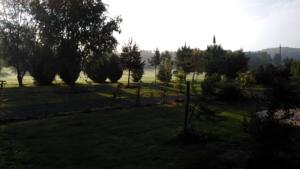 Hebergement Domaine du Lieu des Brocs : Suite Supérieure 