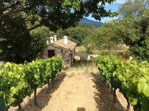 Hebergement Le Mas des Vignes : photos des chambres