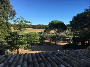 Hebergement Domaine Du Coulet : photos des chambres