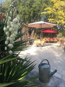 Hebergement Domaine Du Coulet : photos des chambres