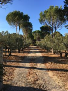 Hebergement Domaine Du Coulet : photos des chambres