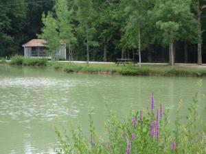 Hebergement Chalet de La Heronniere : Cottage 2 Chambres 