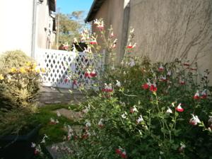 Hebergement Gite Bec Des Deux Eaux : photos des chambres