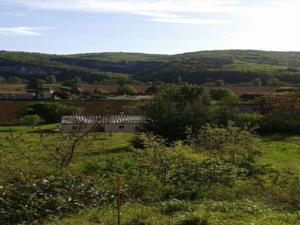 Hebergement House La vigne blanche : photos des chambres