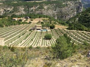 Hebergement Villa Drome : photos des chambres