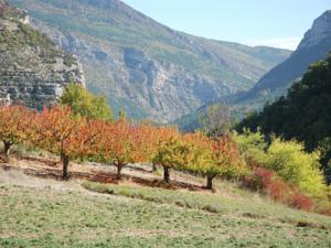 Hebergement Villa Drome : photos des chambres