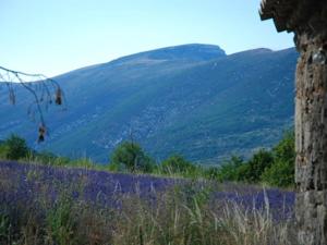 Hebergement Villa Drome : photos des chambres