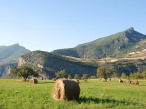 Hebergement Villa Drome : photos des chambres