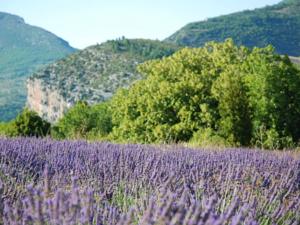 Hebergement Villa Drome : photos des chambres