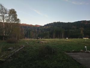 Hebergement Ferme de Martimpre : photos des chambres
