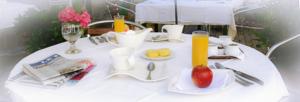 Hotel le Dauphin : photos des chambres