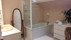Hotel le Dauphin : photos des chambres