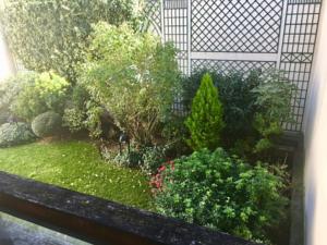 Appartement Grand Studio Belle Terrasse : photos des chambres