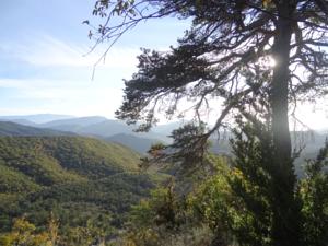 Hebergement Pie des Ayrolis : photos des chambres