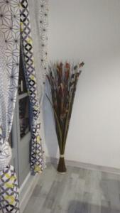 Appartement Laur : photos des chambres