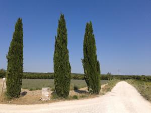 Hebergement Font-Peyrins : photos des chambres