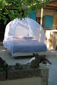 Hebergement Les Volets Bleus Provence : photos des chambres