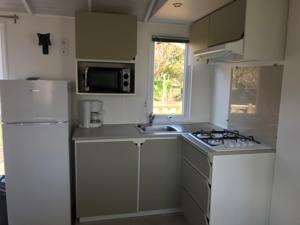 Hebergement Camping La Ferme de Perdigat : Mobile Home