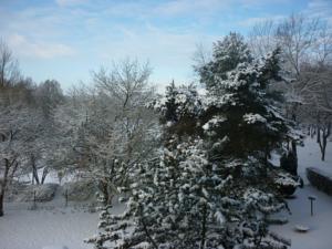 Appartement L'Oree du Parc a Belfort : photos des chambres