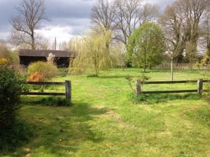 Chambres d'hotes/B&B LeBelforest - Chambre Zen : photos des chambres