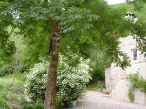 Chambres d'hotes/B&B Le Moulin de Gauty : Chambre Double Confort