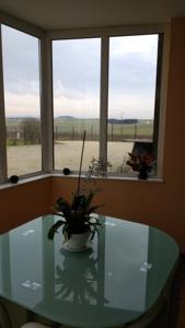 Hebergement Gite rural Le Peche Mignon : photos des chambres