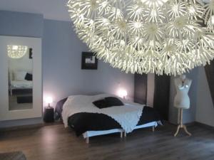 Chambres d'hotes/B&B Sur Le Chemin Des Buvats : photos des chambres