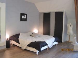 Chambres d'hotes/B&B Sur Le Chemin Des Buvats : photos des chambres