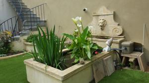 Chambres d'hotes/B&B Chambre d'hotes La Vigneronne : photos des chambres