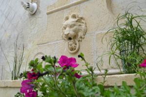 Chambres d'hotes/B&B Chambre d'hotes La Vigneronne : photos des chambres