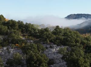 Chambres d'hotes/B&B Les Hauts d'Issensac : photos des chambres