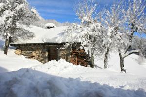 Hebergement La ferme du Mas : photos des chambres