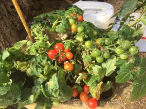 Hebergement Sol Del Deyme : photos des chambres