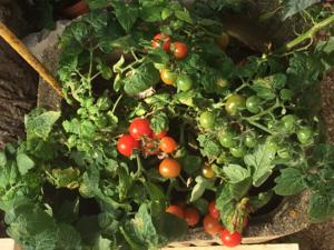 Hebergement Sol Del Deyme : photos des chambres
