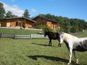 Hebergement Gite des Conquettes : photos des chambres