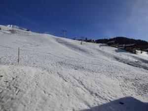 Hotel les Flocons : photos des chambres