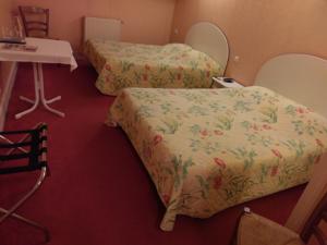 Hotel Logis de L'Europe Restaurant Le Cepage : photos des chambres