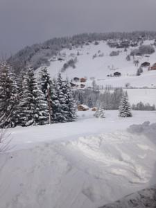 Hebergement La Ferme des Georgieres : photos des chambres