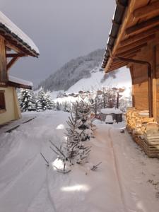 Hebergement La Ferme des Georgieres : photos des chambres
